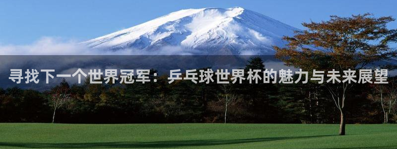 世界杯:寻找下一个世界冠军:乒乓球世界杯的魅力与未来展望