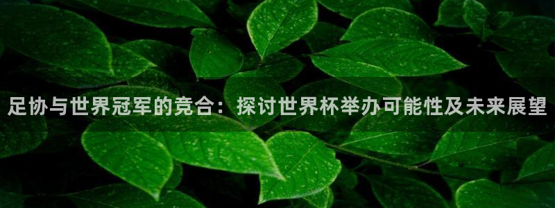 世界杯女足直播:足协与世界冠军的竞合:探讨世界杯举办可能性及未来展望