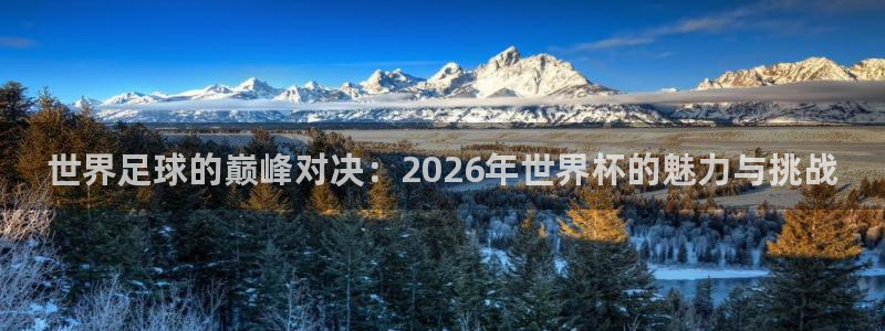 足球世界杯时间:世界足球的巅峰对决:2026年世界杯的魅力与挑战