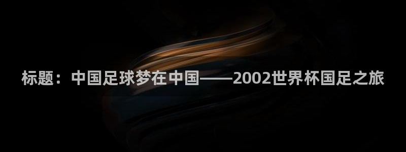 世界杯2026赛程:标题:中国足球梦在中国——2002世界杯国足之旅