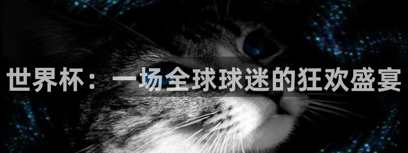 2026世界杯亚洲区预选赛:世界杯:一场全球球迷的狂欢盛宴