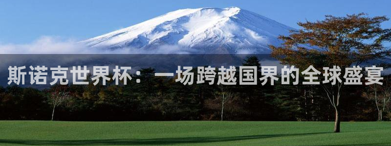 国际足联世界杯:斯诺克世界杯:一场跨越国界的全球盛宴
